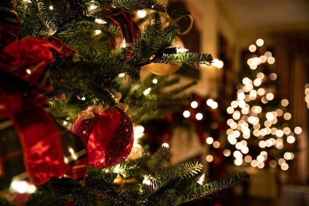 A close up of a Christmas tree with red bulbs and white lights